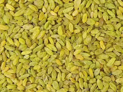 تصویر 3 از کشمش سبز خشک با کیفیت تضمینی